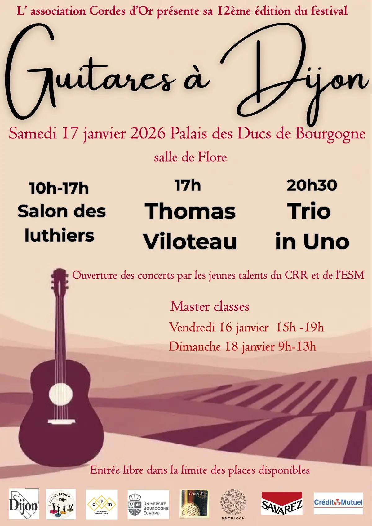 Guitares à Dijon