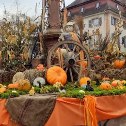 La Citrouille en Fête