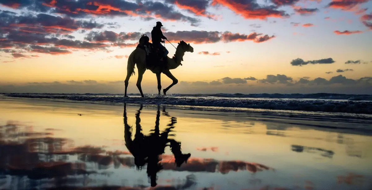 Concert Israël / Palestine mandataire - une musique en commun