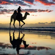 Concert Israël / Palestine mandataire - une musique en commun