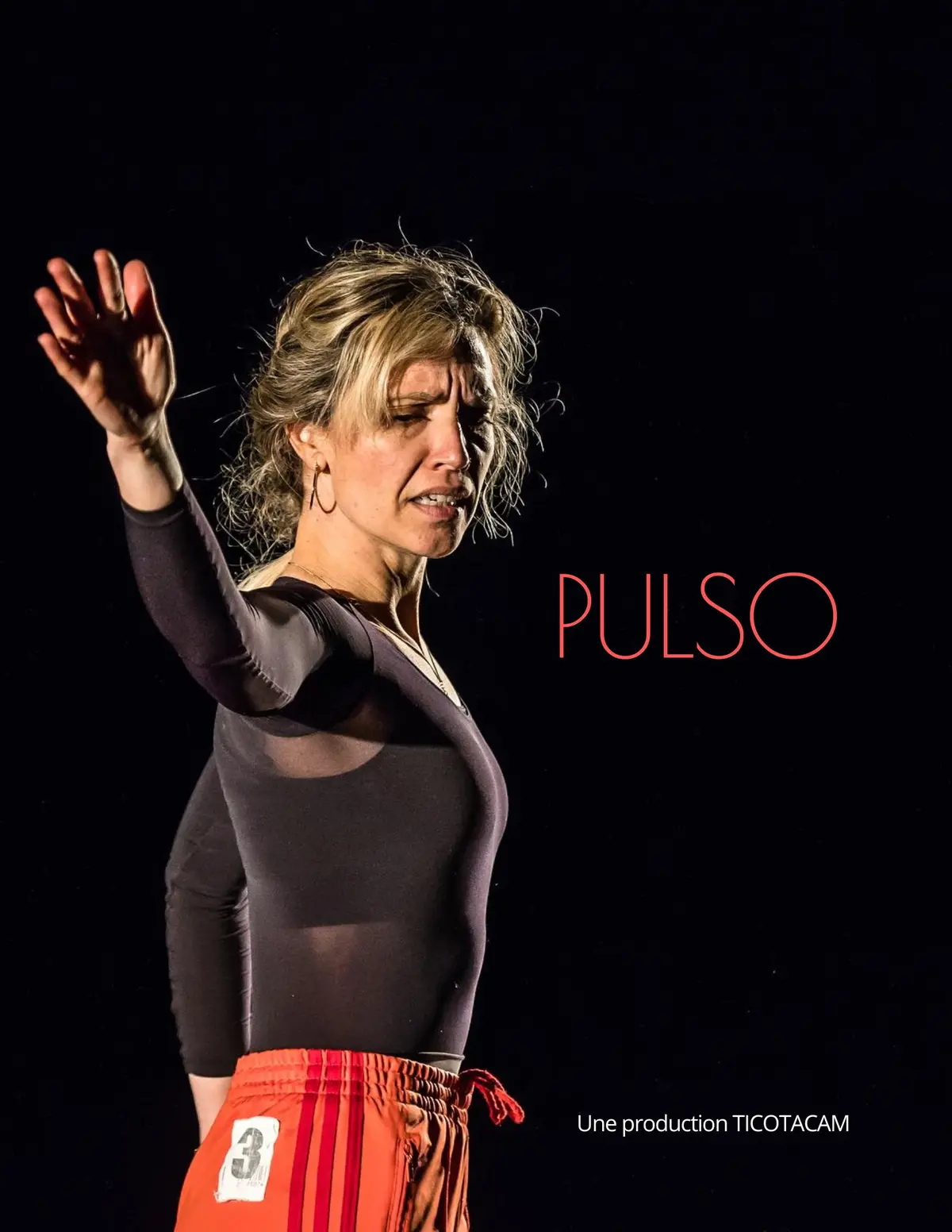 Pulso, un spectacle de Flamenco, libre et sans frontières