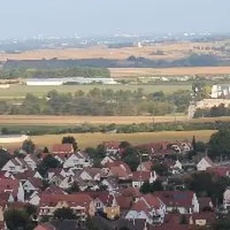 Marche Gourmande : Les Sentiers du Bischenberg