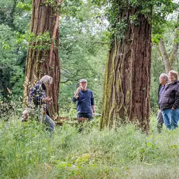 Parc Kiener - Les Rendez-vous aux Jardins