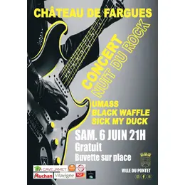Nuit du Rock