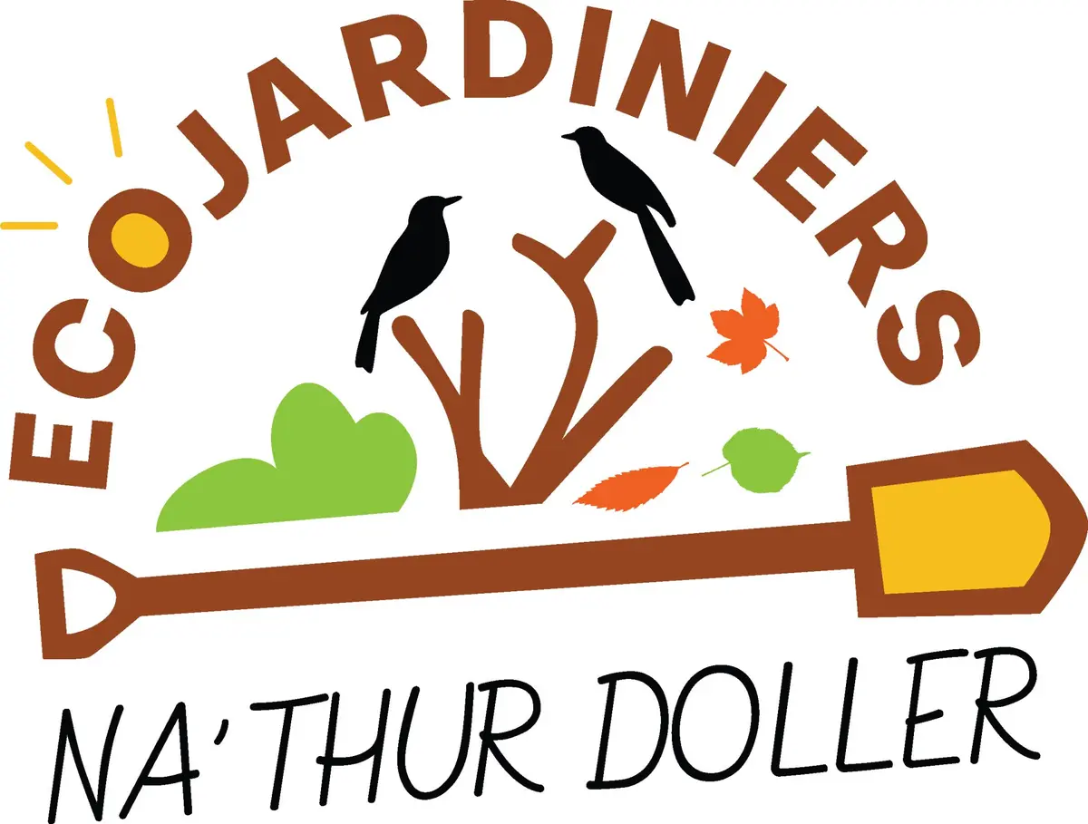 Préparation du sol et création d’un potager sur gazon