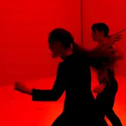 Wonderland - Sylvain Huc