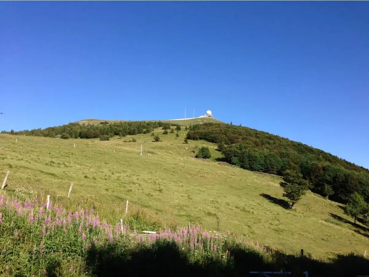 Flore du Grand Ballon et visite d’une ferme auberge avec dégustation