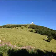 Flore du Grand Ballon et visite d’une ferme auberge avec dégustation