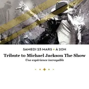 Tribute to Michael Jackson - the show