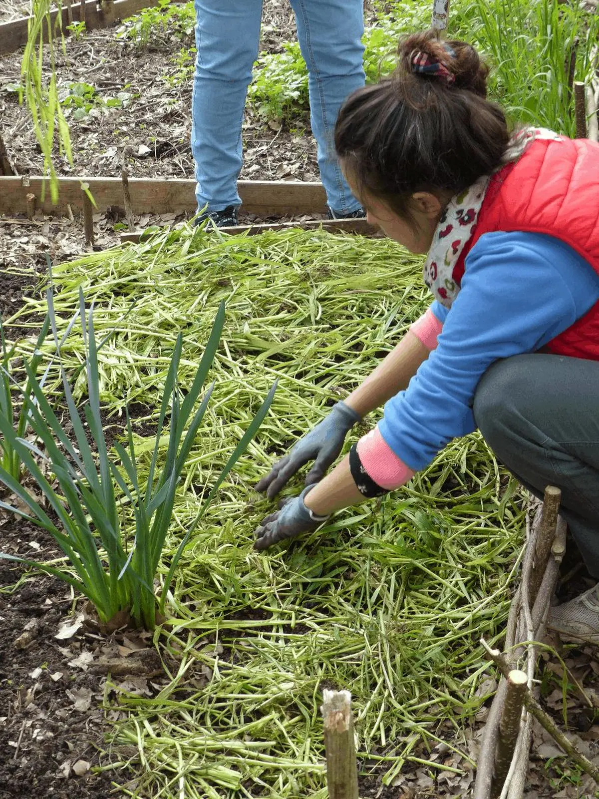 Paillez plus et arrosez moins pour produire de beaux légumes ! 