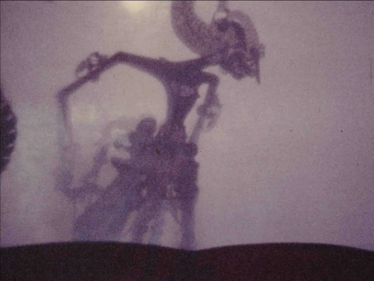 Atelier parent-enfant (4-7 ans) : Théâtre d'ombres