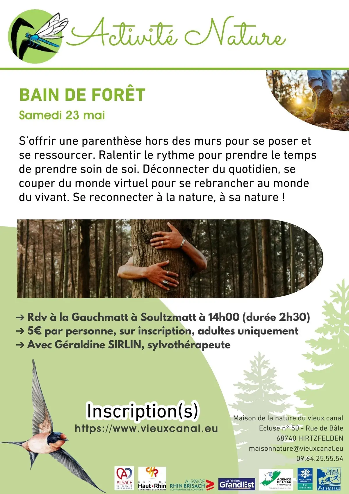 Bain de forêt (adultes uniquement)