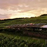 Balade nocturne à cheval au Bistrot Champêtre