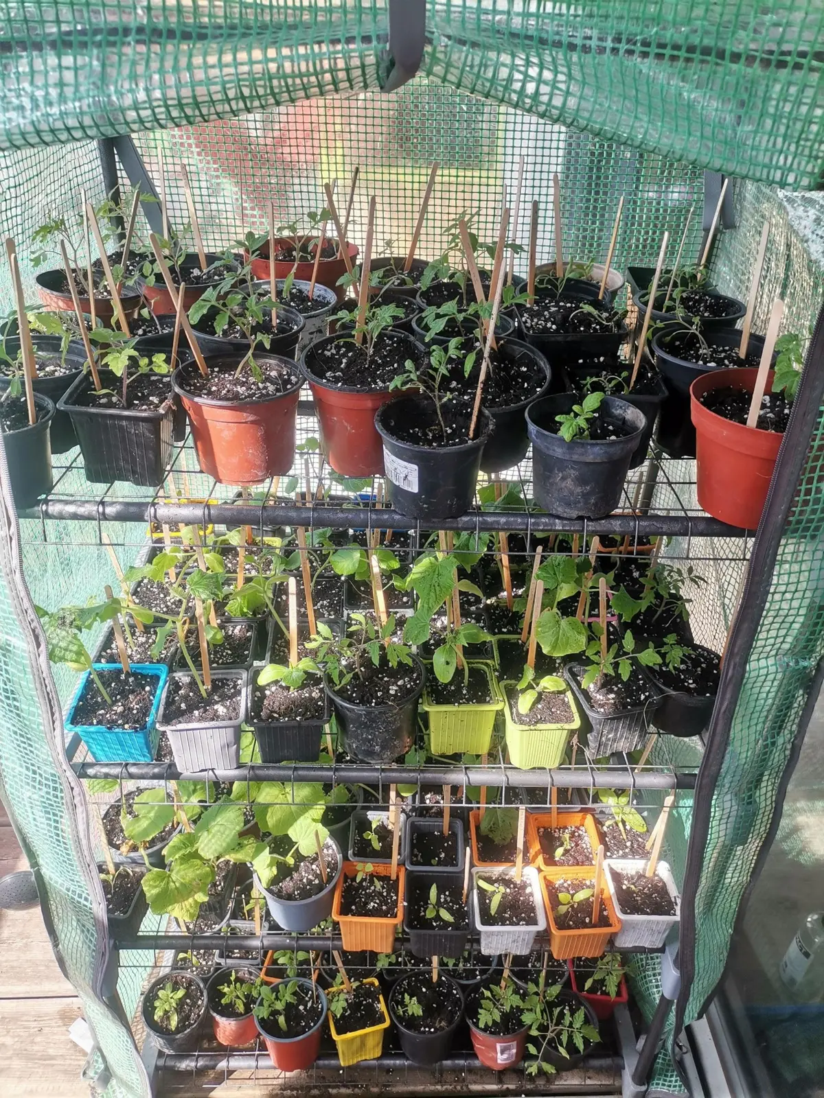 Chantier participatif ; 1,2,3 ... A nos plantations !