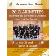 les clarinettes d'Occitanie - 20 clarinettes en concert