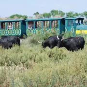 Le Réveil du Gardian - Printemps 2026