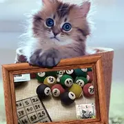 Bingo Loto du 22 mars 2026