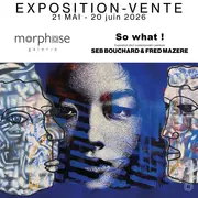 Exposition So what ! | Art contemporain | Seb Bouchard & Fred Mazere