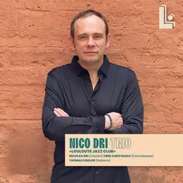 Nicolas Dri trio - Concert New-York vibes & standard de jazz