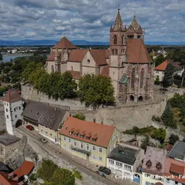 Cathédrale St. Étienne Breisach am Rhein
