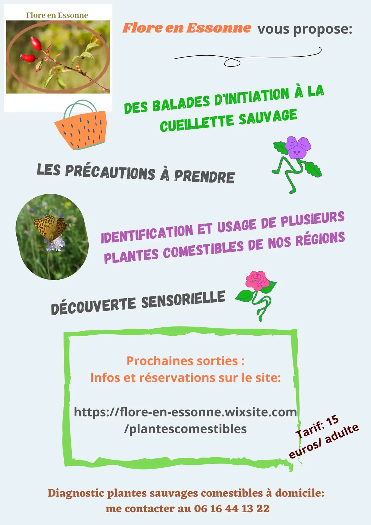 Sortie découverte des Plantes sauvages comestibles