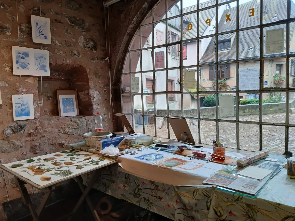 Atelier d'initiation au monotype végétal et à la gravure sur tetra pak 