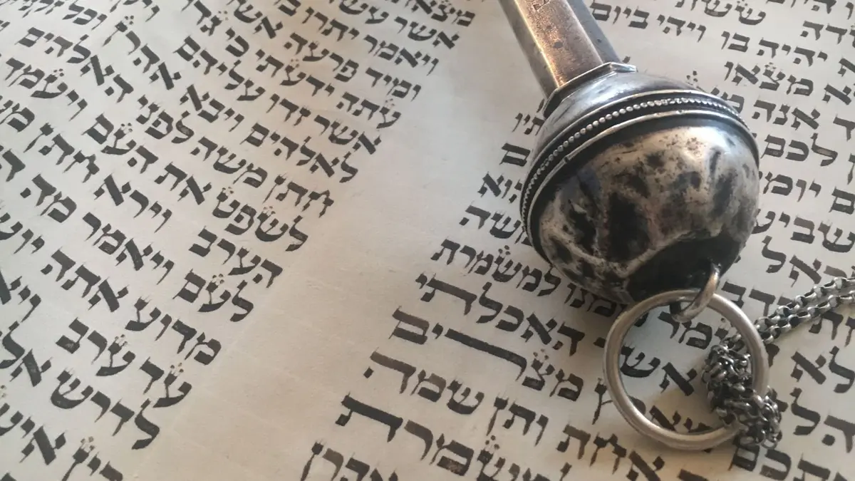 La synagogue ouvre ses portes un patrimoine discret et méconnue de Pfaffenhoffen