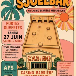 Découverte et initiation au Sjoelbak