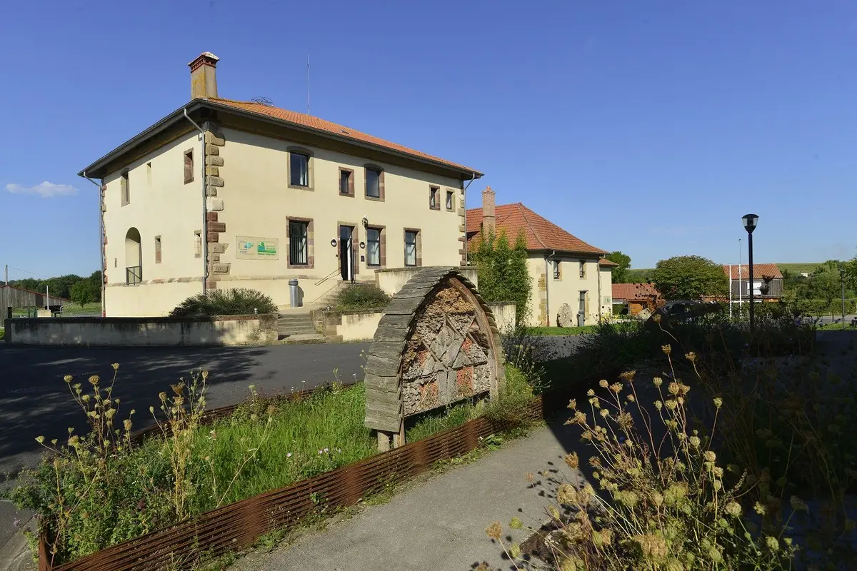 Sortie nature : construction de nichoirs 