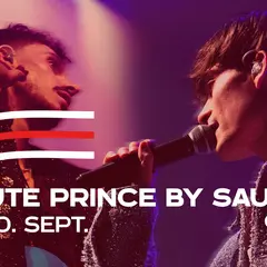 Tribute Prince By Saults + 10 ans Sortie 13