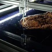 Installation « Beach Machine - Mana Island » de Miguel Miceli