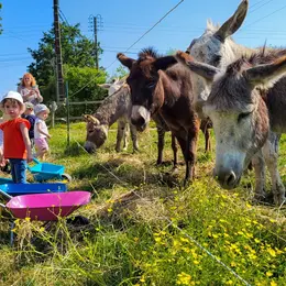 A la rencontre des animaux de la ferme