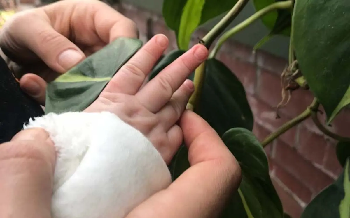 Atelier parents-enfants pour les 0-2 ans