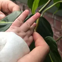 Atelier parents-enfants pour les 0-2 ans &copy; Le Moulin Nature