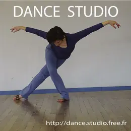 Stage de Danse d'été avec Nick Blumenfeld à Toulouse