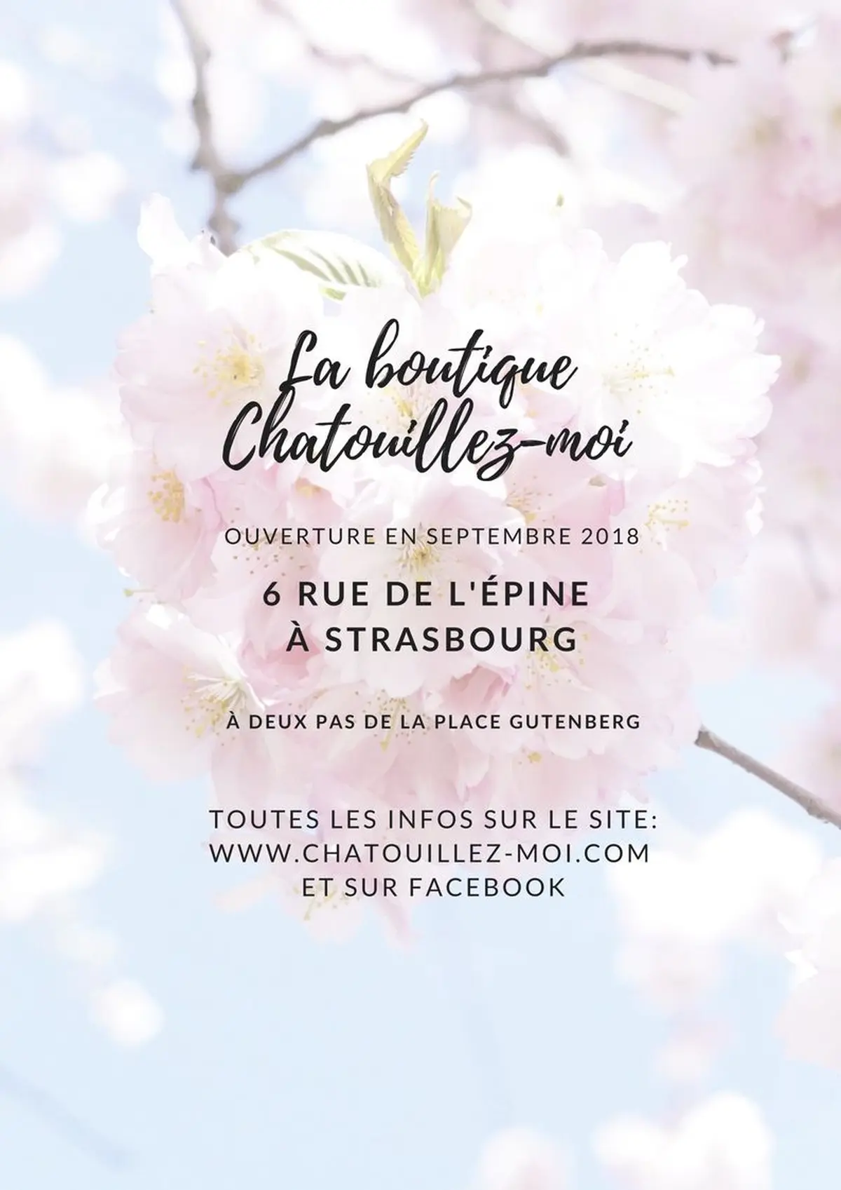 Boutique Chatouillez-moi