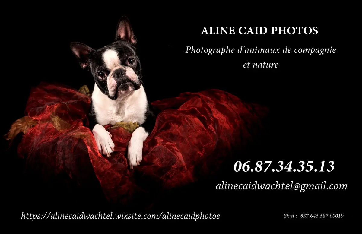Aline Caid Photos