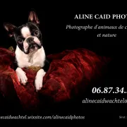 Aline Caid Photos