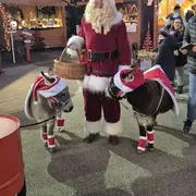 Marché de Noël de SAUSHEIM