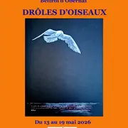 Exposition ART'ist Obernai Gengenbach