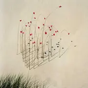 L’eau et le diamant 