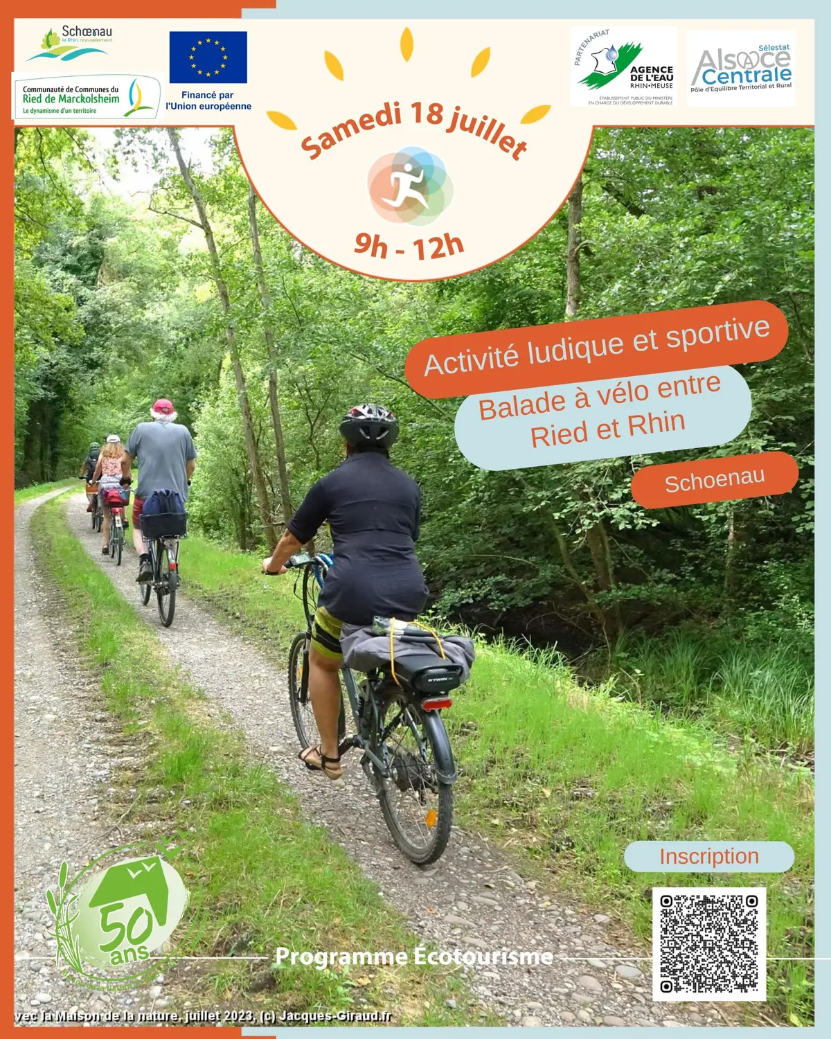 Balade à vélo entre Ried et Rhin