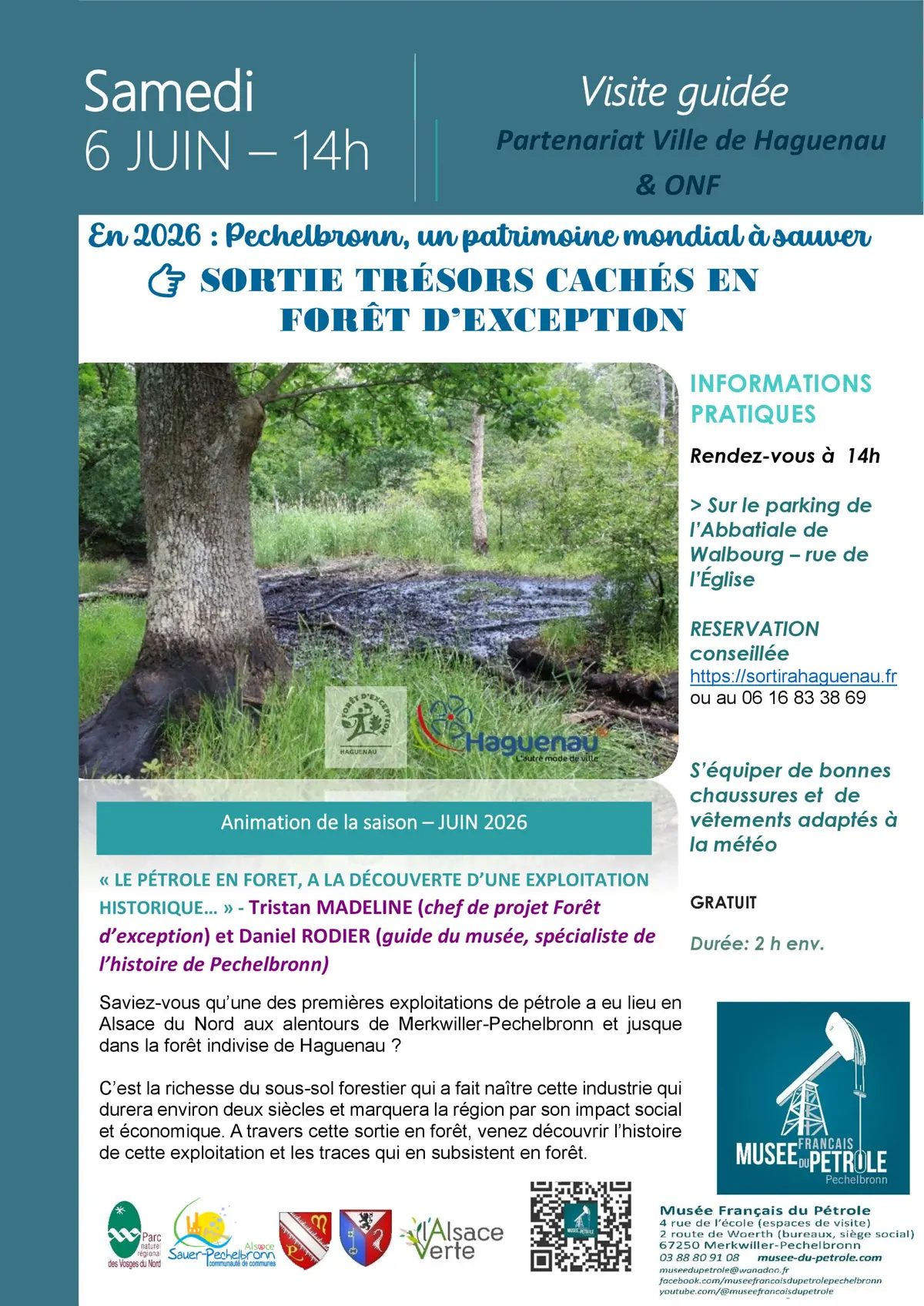 Sortie guidée « Trésors cachés en forêt d’exception » 
