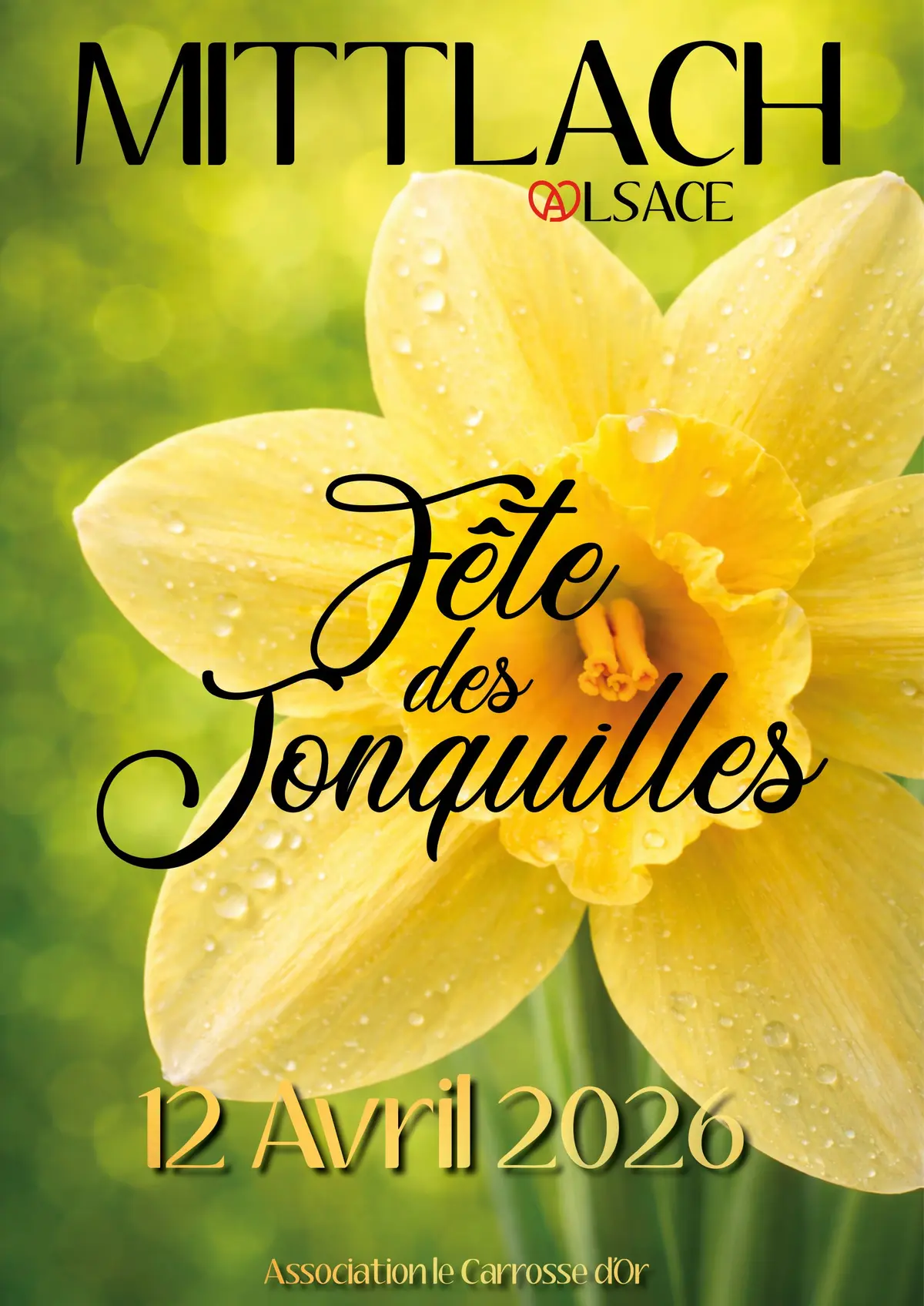 Fête des Jonquilles - Mittlach