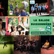 La Balade Buissonnière en Zik - 11ème édition