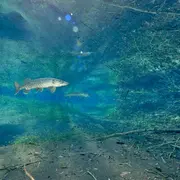 Le fleuve invisible, un trésor sous la plaine du Rhin