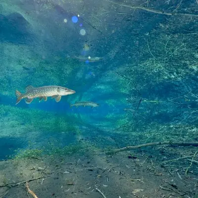 Le fleuve invisible, un trésor sous la plaine du Rhin