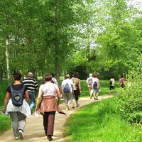 Marche populaire de montagne : Bouger, respirer, vibrer ... &copy; CSC Pays de Thann