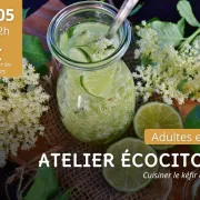 Atelier écocitoyen : cuisiner le sureau et le kéfir 
