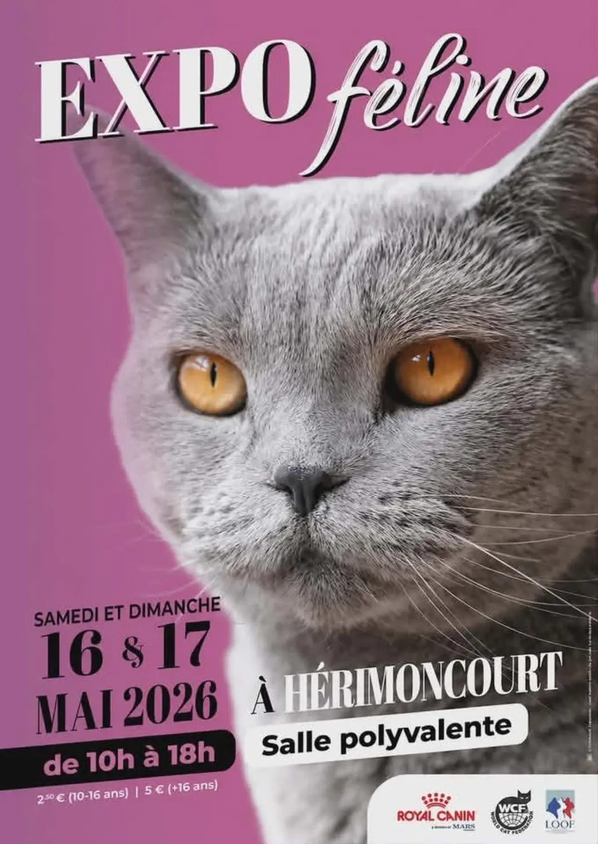 Exposition feline
